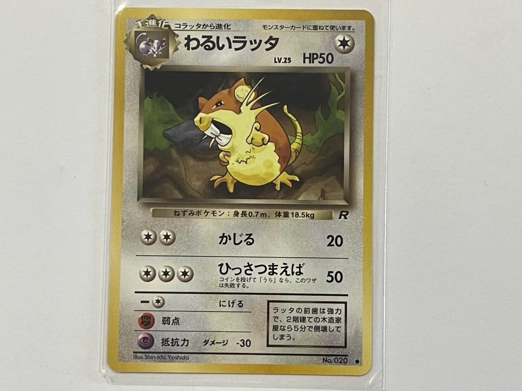 Dark Raticate No. 020 Japanese Team Rocket Set Pokemon TCG Card In Pro –  The Game Experts