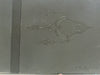 Limited Special Edition Final Fantasy XII Playstation 2 PS2 Slimline NTSC-J Console Complete In Box