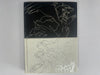 Pokemon Black & White Official Hardcover Strategy Guide