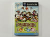 Harvest Moon Magical Melody NTSC-J Complete In Original Case