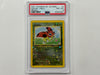 Ledyba 7/18 Southern Islands Promo Pokemon TCG Holo Foil Card PSA8 PSA Graded